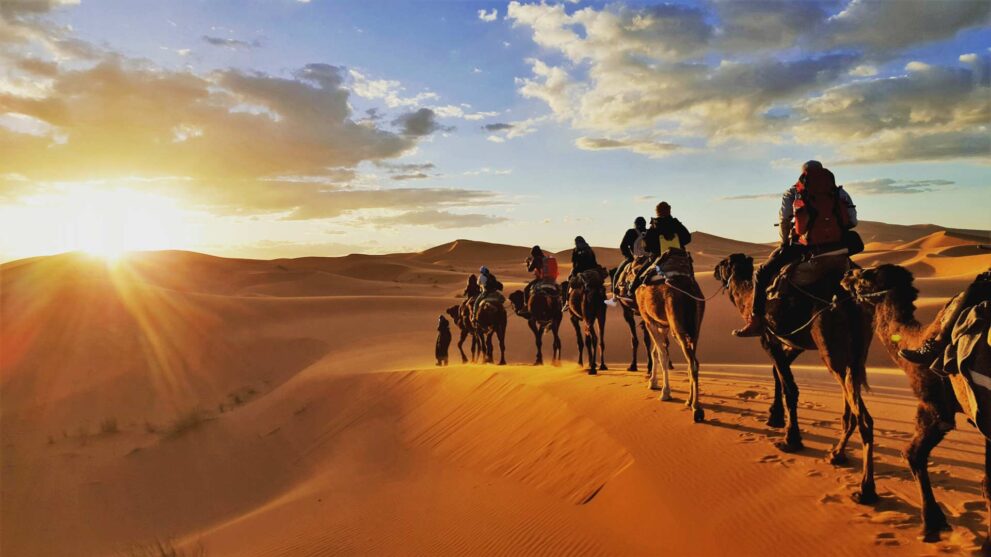 Kameltrekking in der Sahara