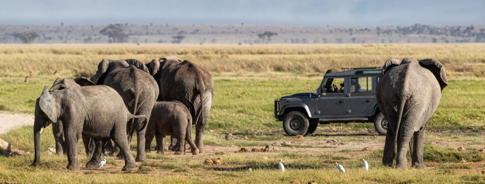 Elefanten vor einem Safari Fahrzeuug auf einer Big Five Safari