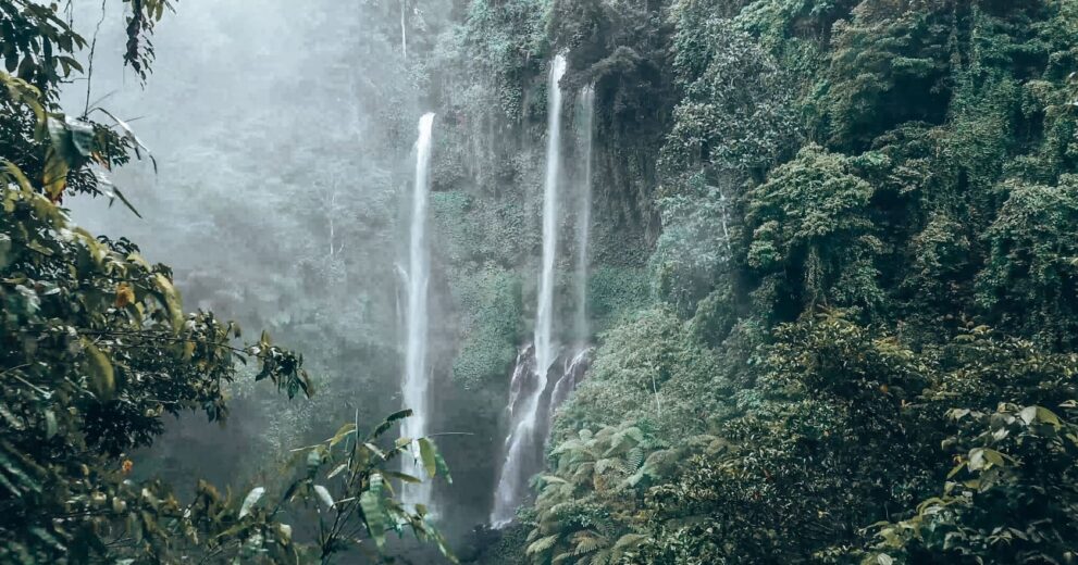 Ein langer Wasserfall zwischen Bäumen im Dschungel