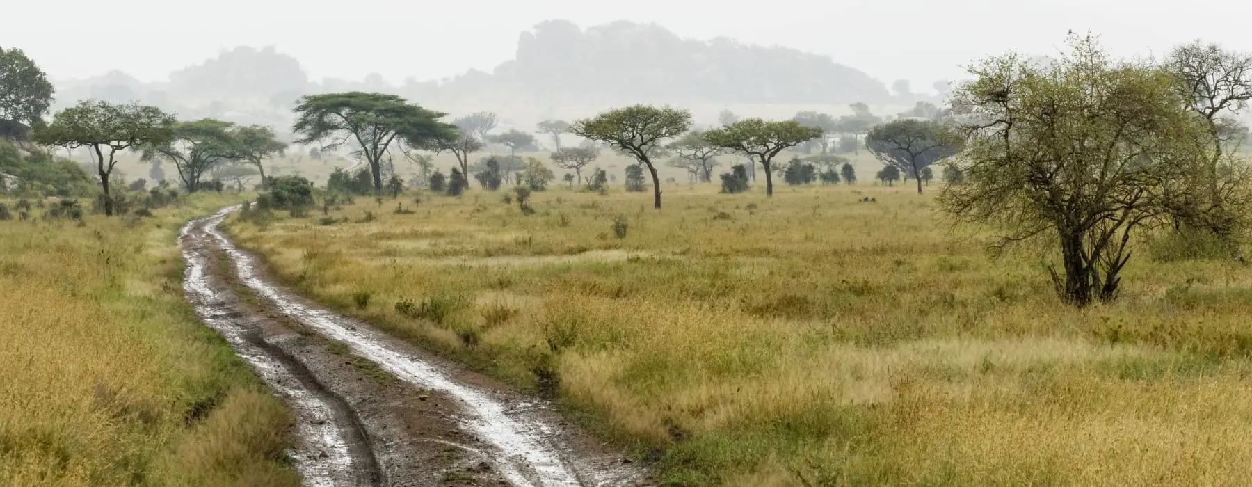 Matschige Straße im Serengeti Nationalpark in Tansania