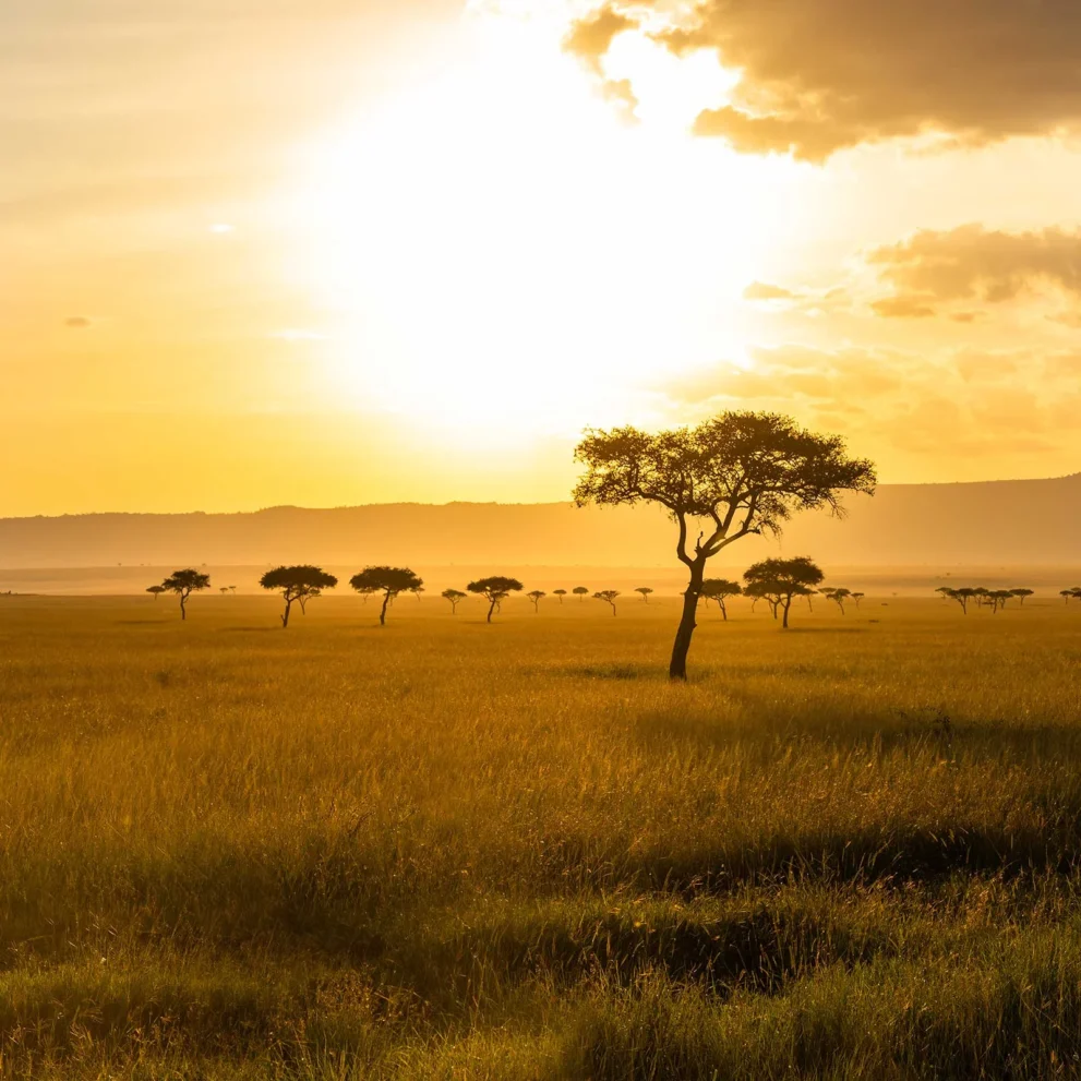 Serengeti Nationalpark Sonnenuntergang in der Trockenzeit