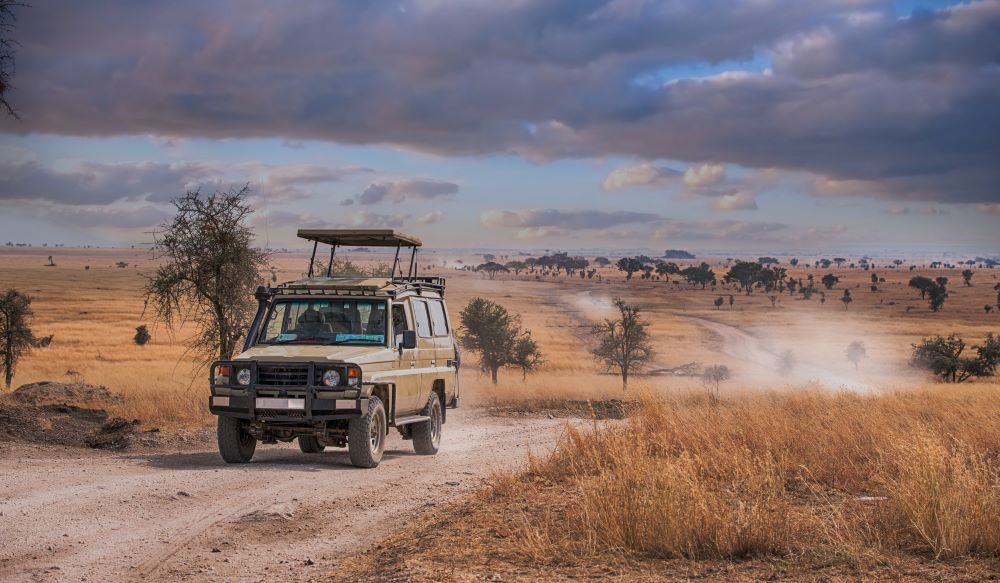 Jeepsafari in der Serengeti in der Trockenzeit