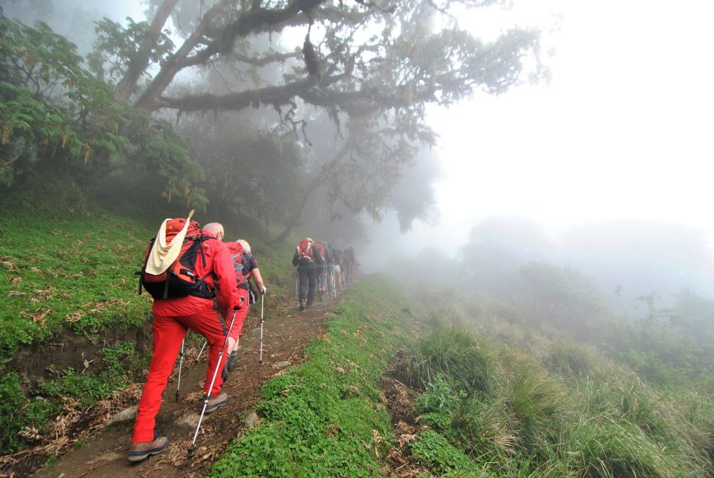 Wanderer besteigen den Kilimandscharo während der Regenzeit