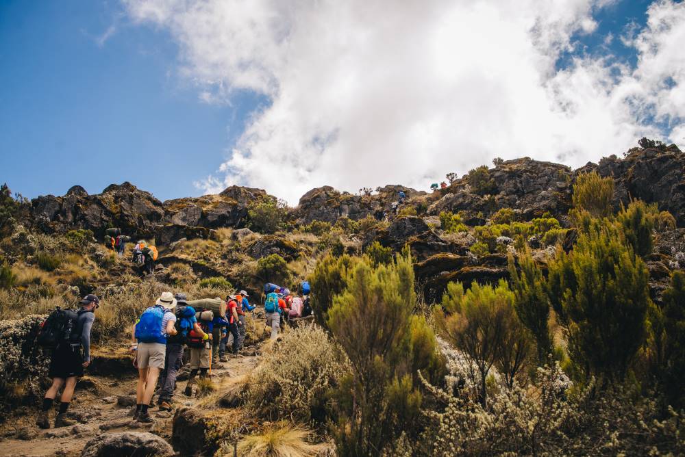 Bergsteiger auf dem Weg zum Kilimandscharo