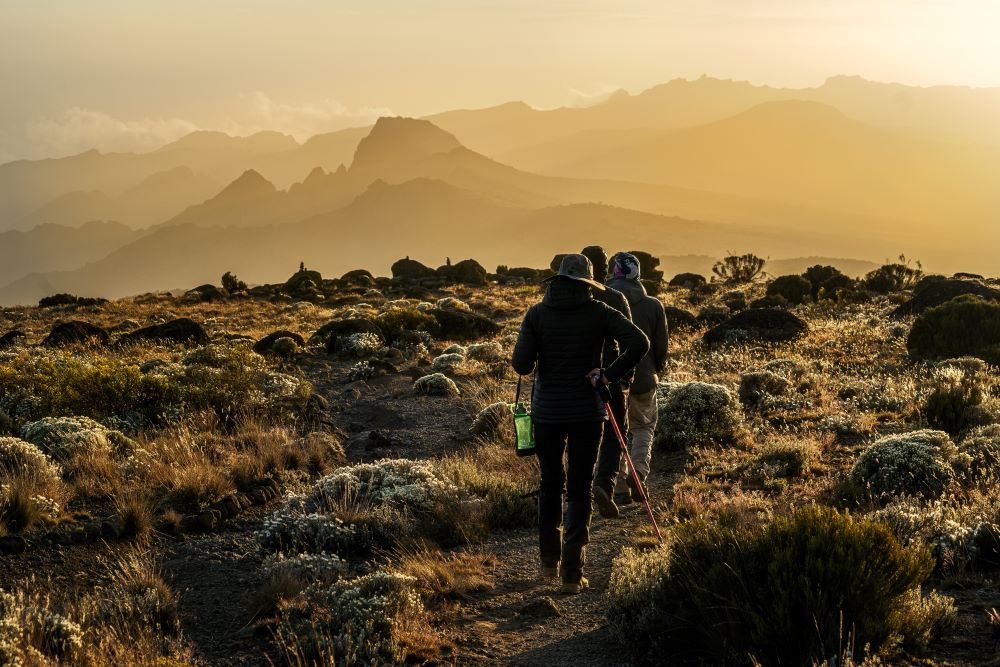 Wanderer auf dem Kilimandscharo im Sonnenaufgang