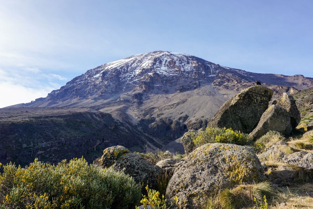 Alpine Steinwüste auf dem Kilimandscharo
