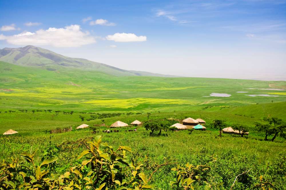 Eine kleine Massai-Siedlung in der Ngorongoro Conservation Area außerhalb des Ngorongoro Krater in Tansania