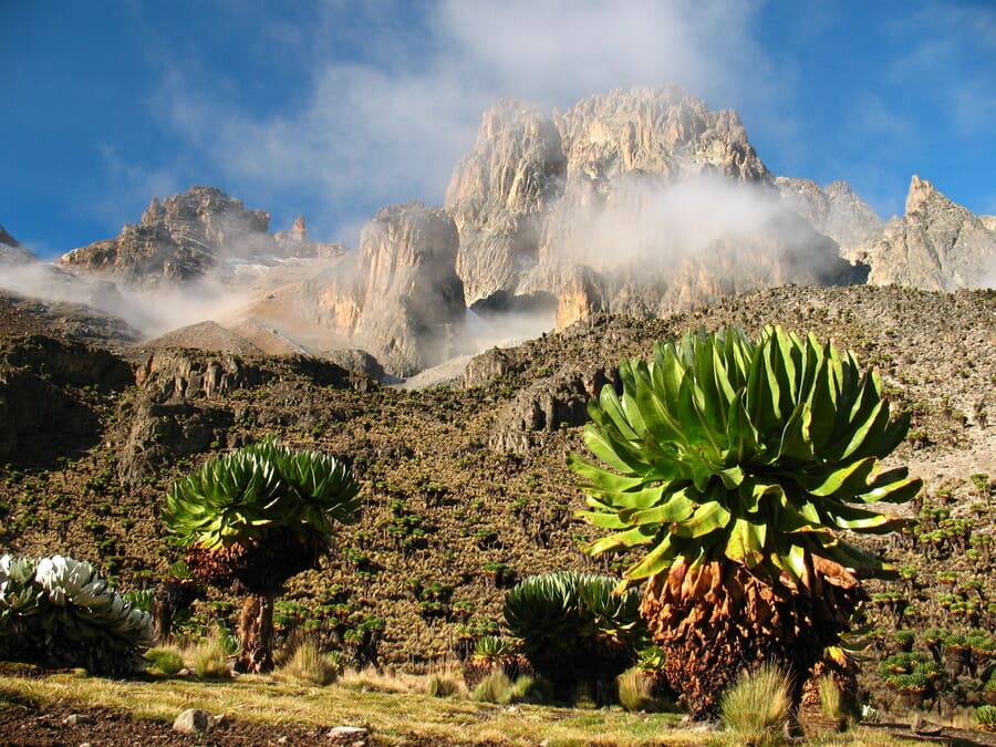 Blick auf die Spitze des Mount Kenya in Kenia