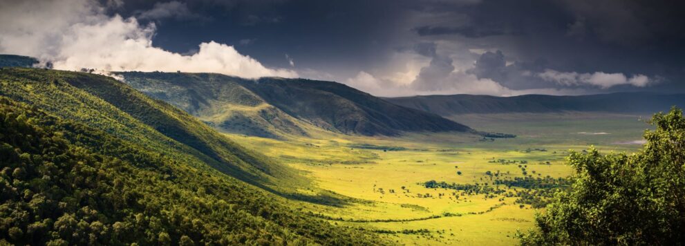 Blick vom Kraterrand auf den Kraterboden im Ngorongoro Krater in Tansania