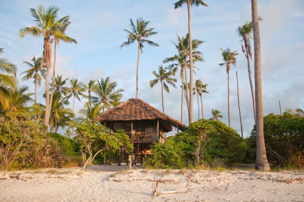 Strandhaus mit Palmen am Saadani Nationalparks in Tansania