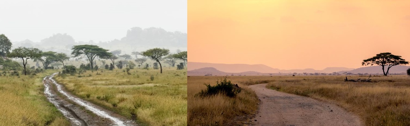 Vergleich einer Strasse in der Serengeti mit Trockenzeit und Regenzeit