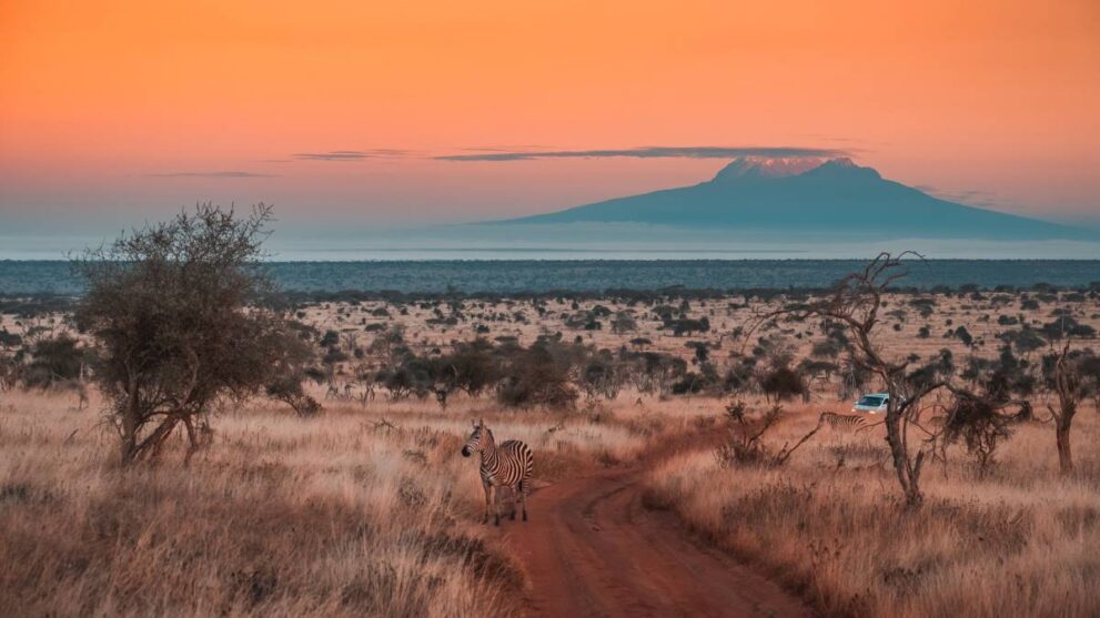 Tsavo West Nationalpark in Kenia mit Blick auf den Kilimandscharo