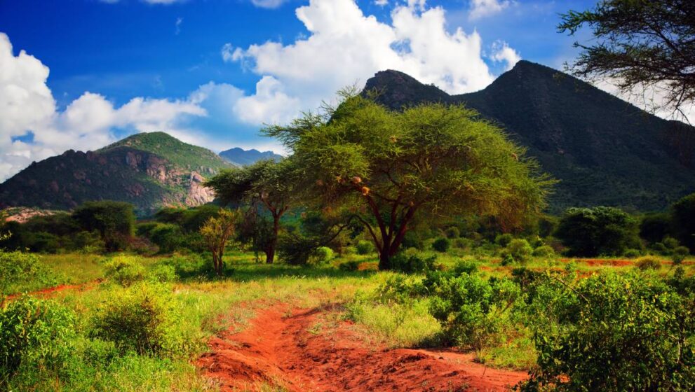 Landschaft mit Bergen und Wald im Tsavo West Nationalpark in Kenia