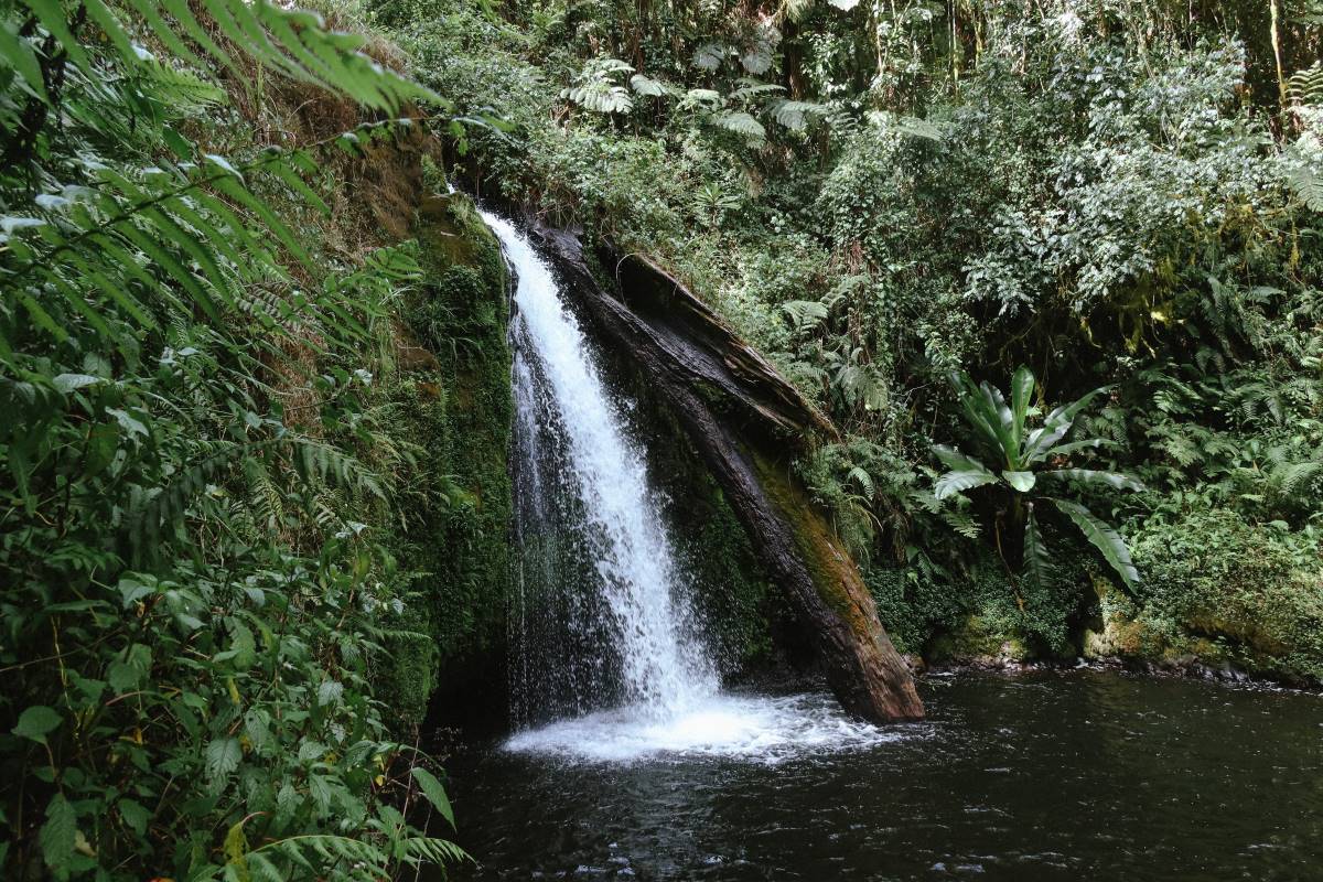 Wasserfall im Regenwald des Mount Kenya