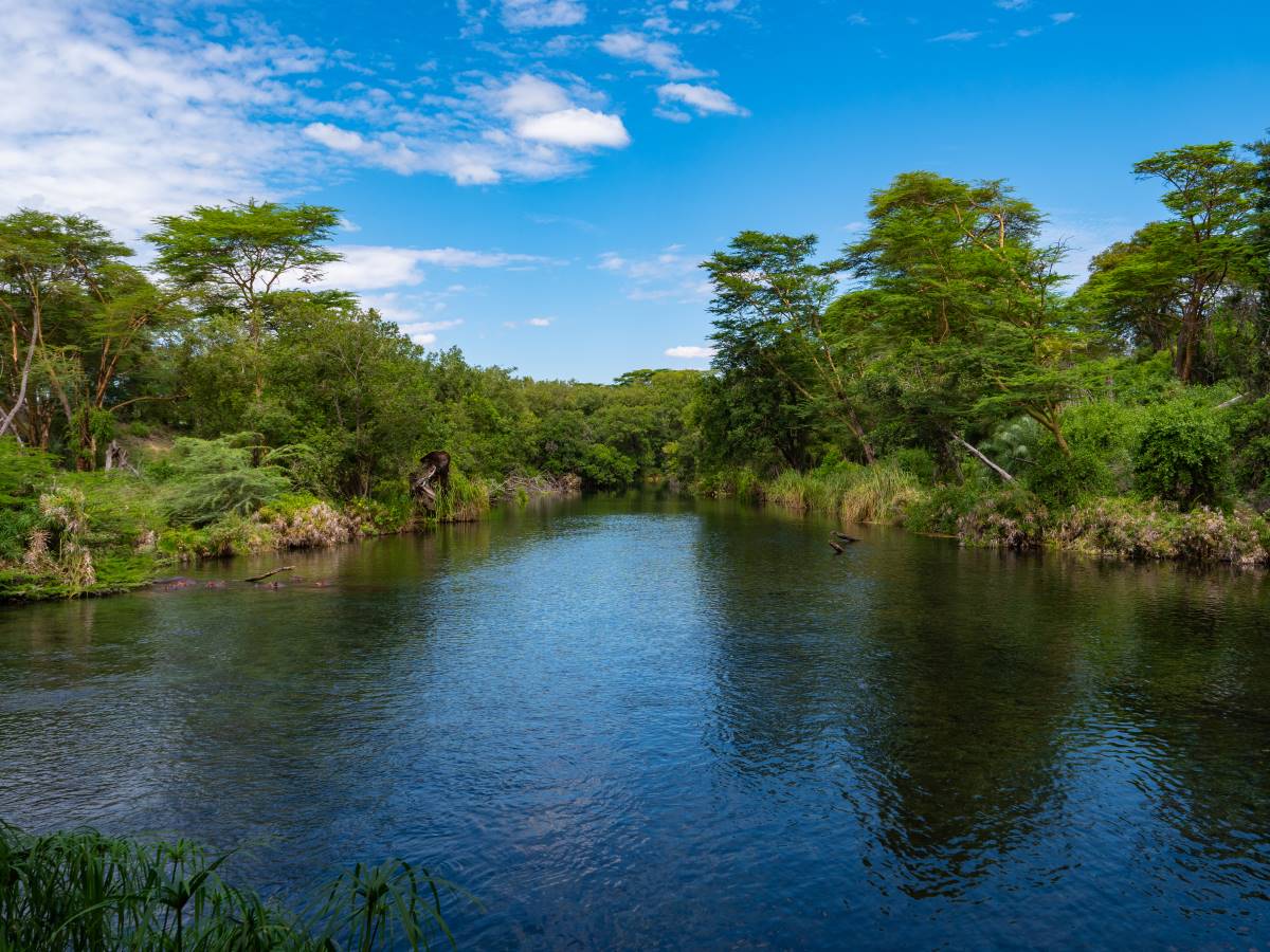 Mzima Wasserquelle im Tsavo West Nationalpark in Kenia