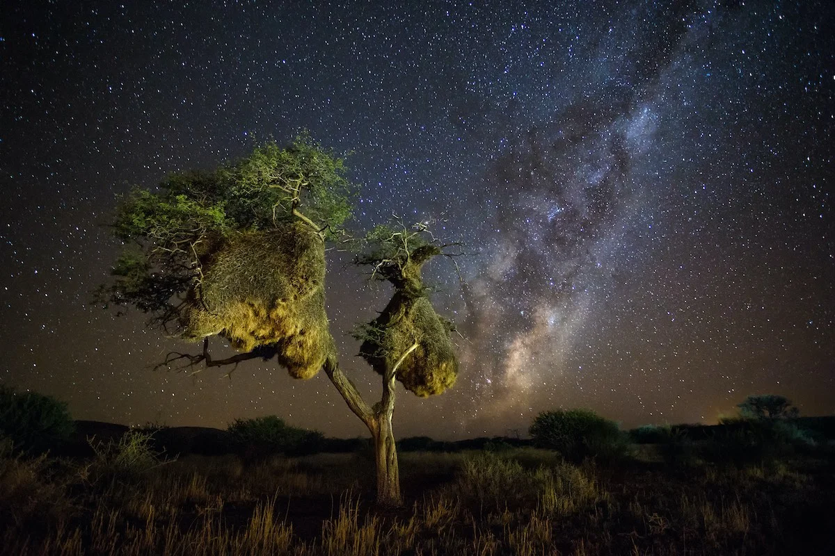 Ein klarer Sternenhimmel in der Kalahari Wüste.