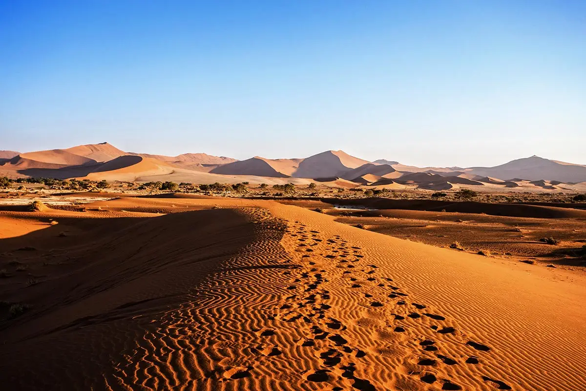 Fußspuren auf einer roten Düne im Namib-Naukluft Nationalpark.