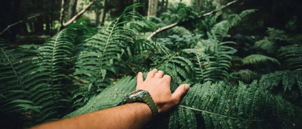 Survivalist kämpft sich mit Hand voraus durch das Dickicht