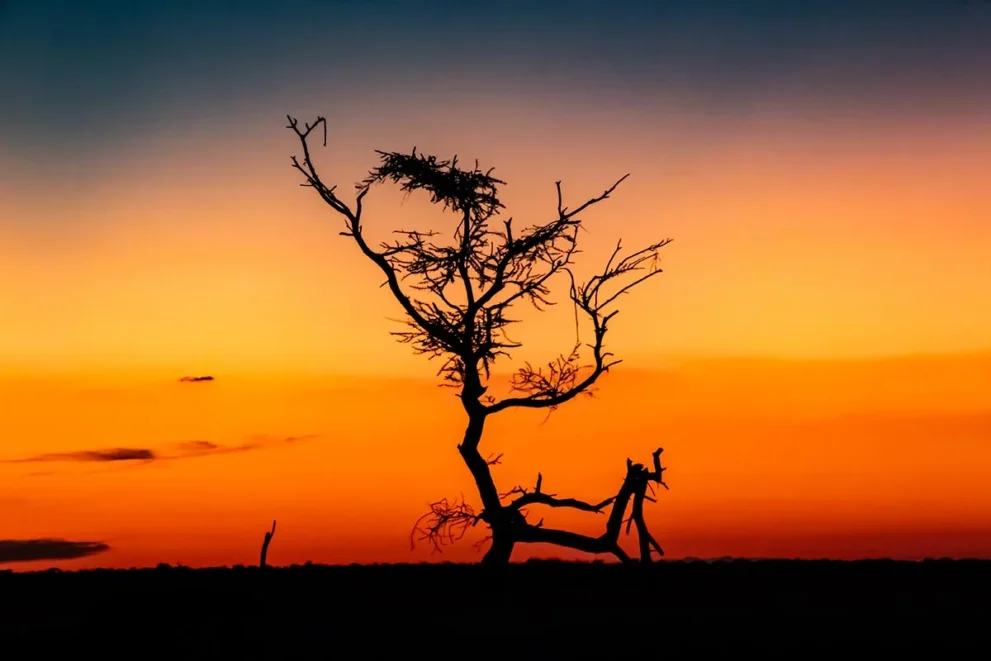 Sonnenuntergang im Central Kalahari Game Reserve.