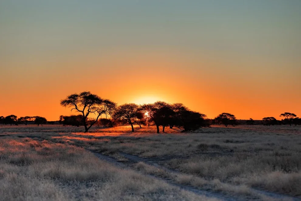 Sonnenuntergang im Central Kalahari Game Reserve.