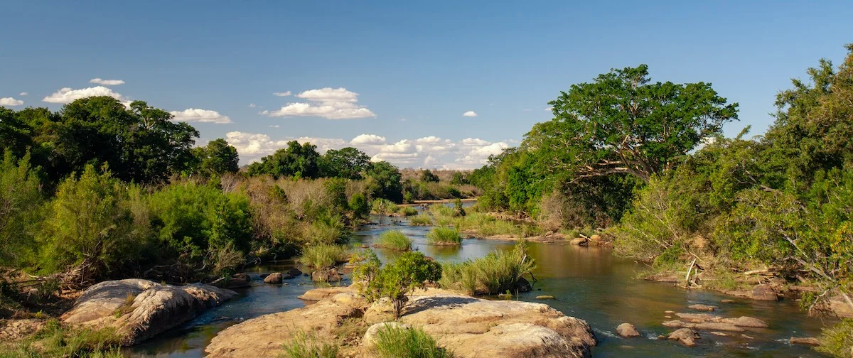 Landschaft mit FLuss und Wäldern im Kruger Nationalpark.