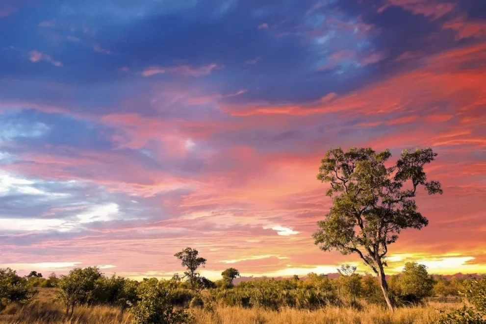 Sonnenuntergang im Kruger Nationalpark.