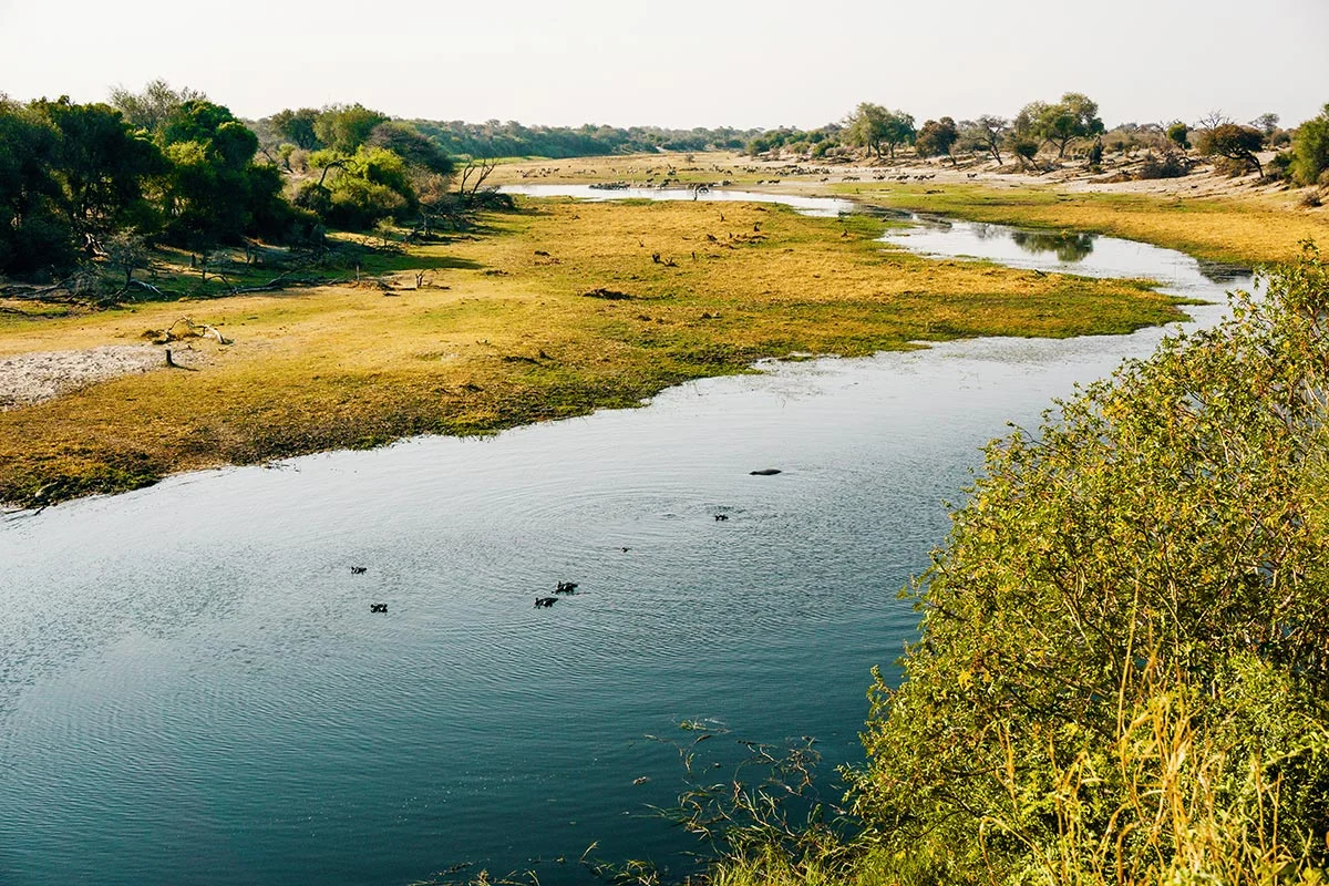 Fluss im Makgadikgadi Pans Nationalpark.