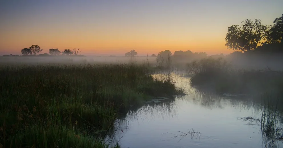 Okavango Delta in der Dämmerung.