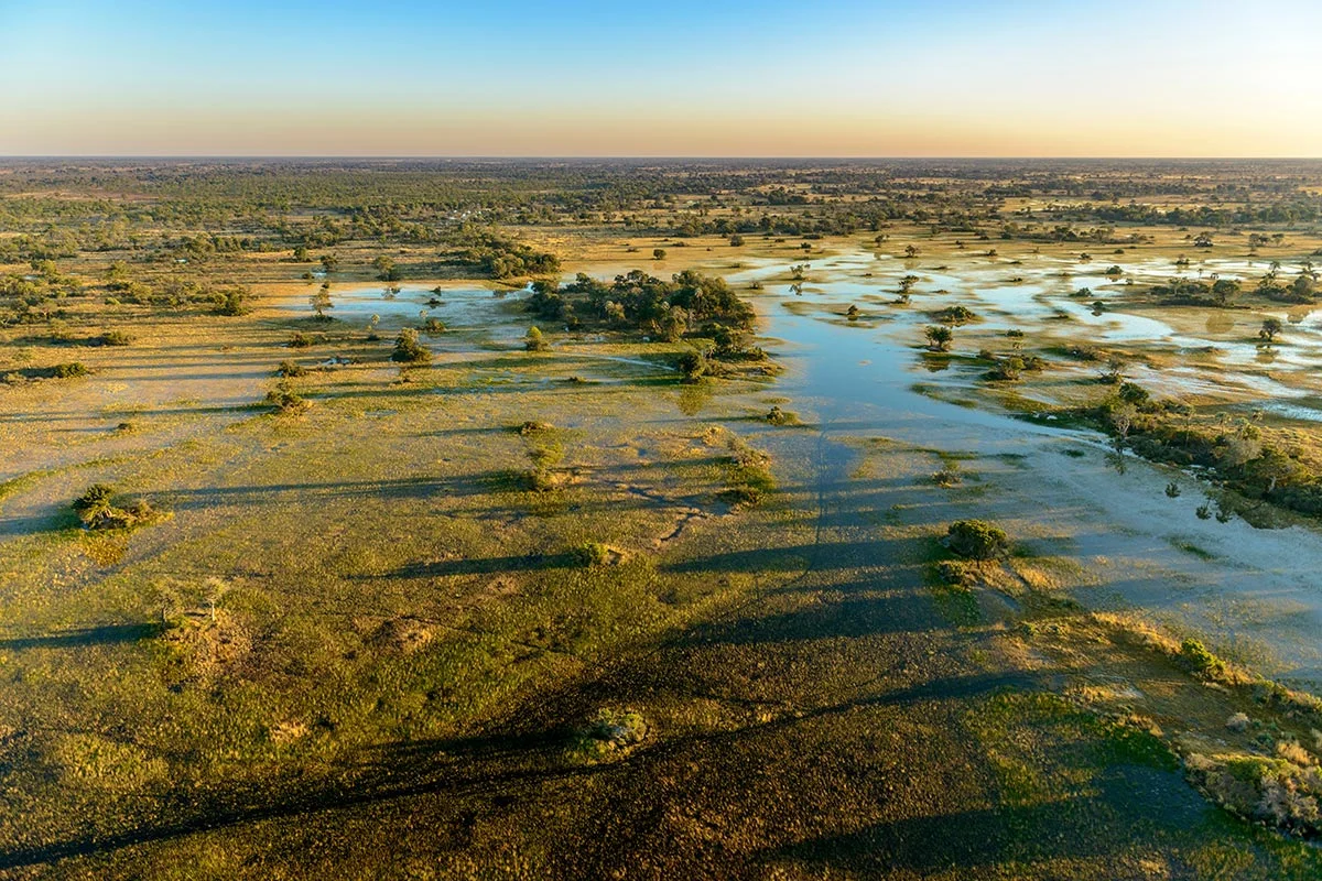 Blick von oben auf den Fluss im Okavango Delta.