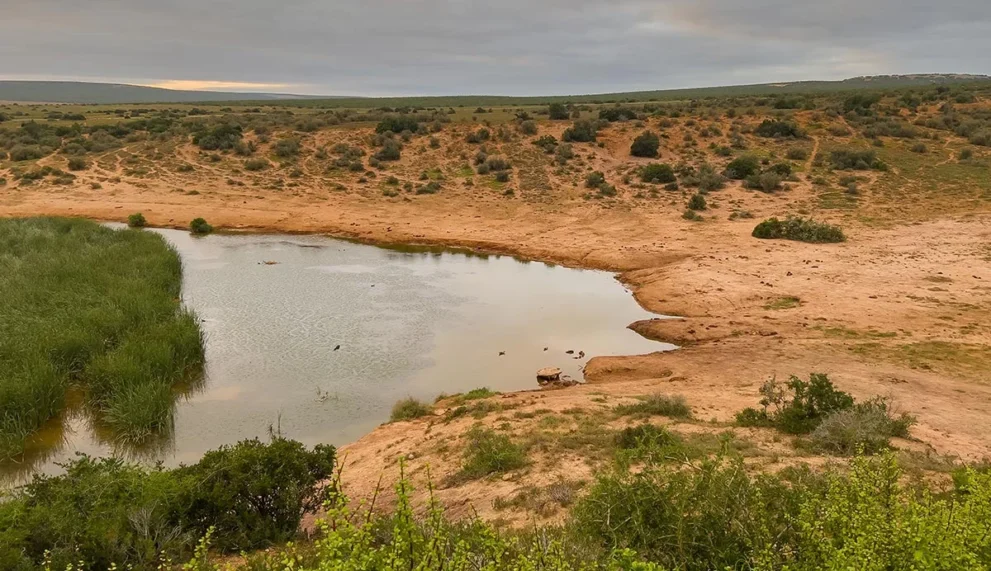 Fluss im Addo Elephant Nationalpark.