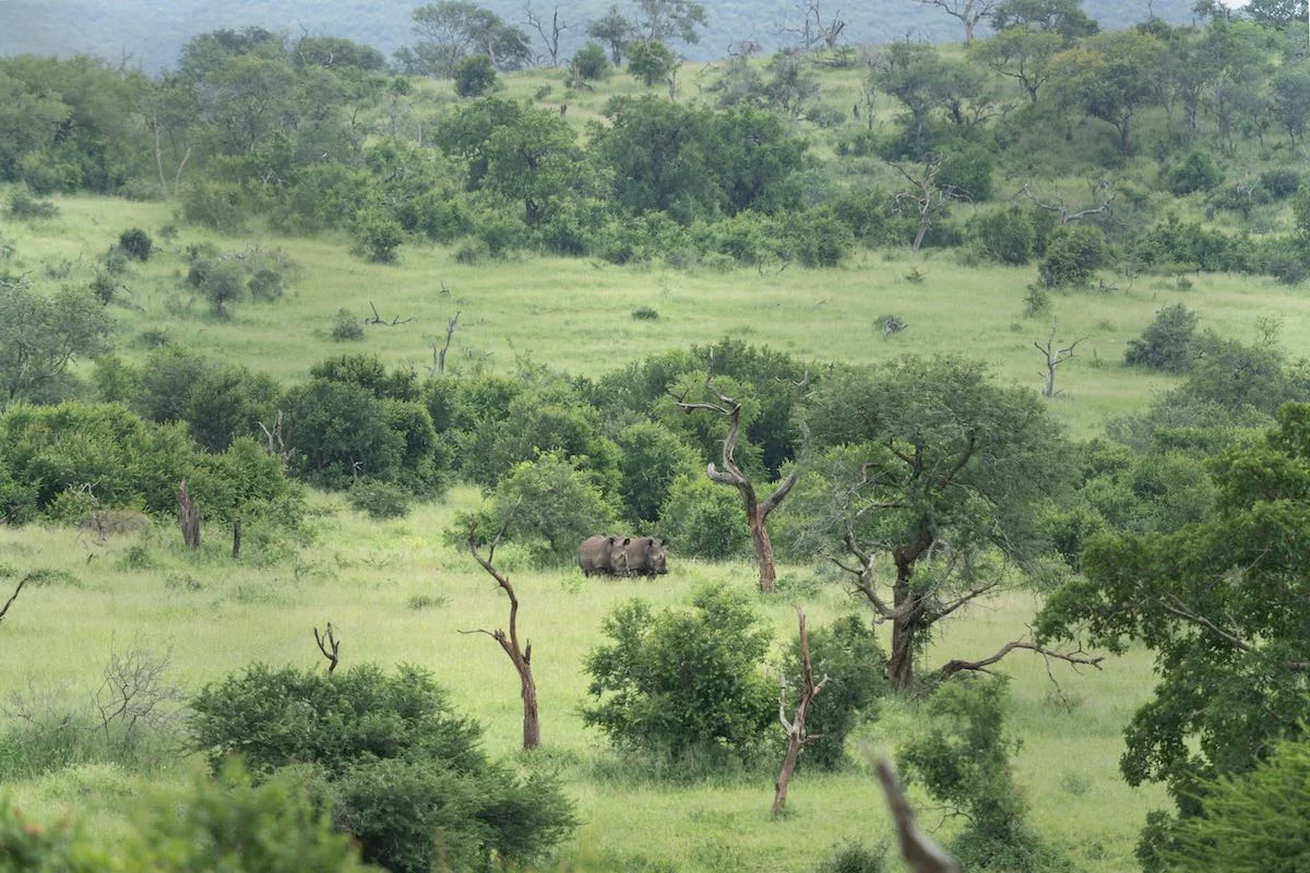 Wilderness Area im Hluhluwe iMfolozi Nationalpark.