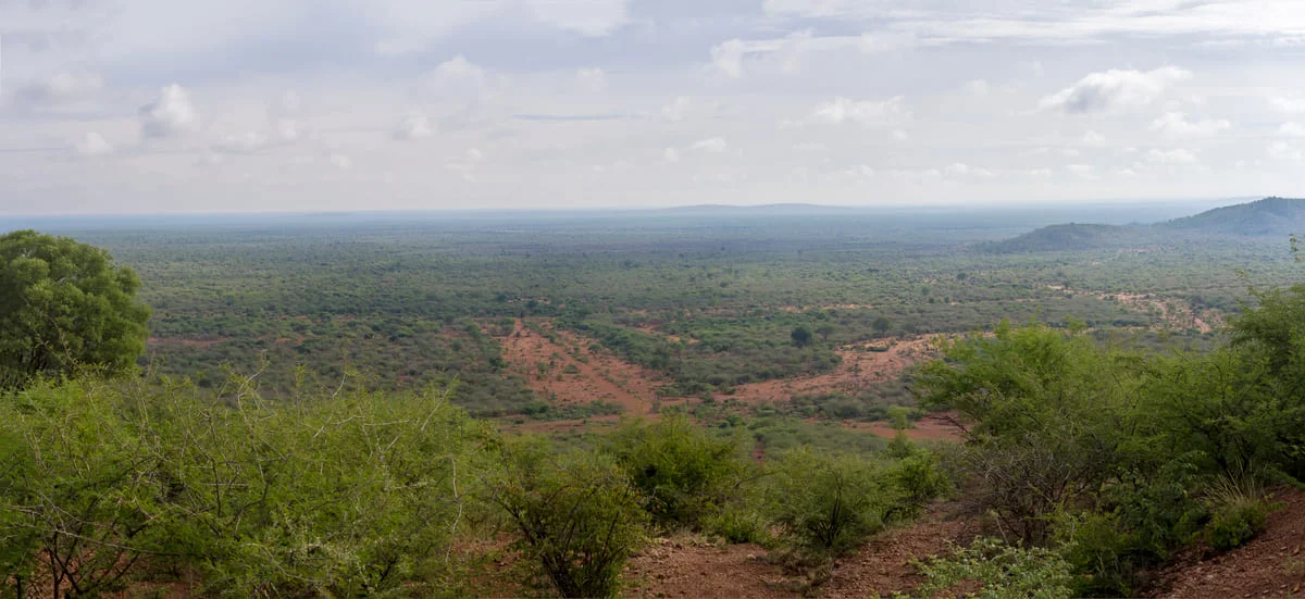 Aussicht über das Madikwe Game Reserve.