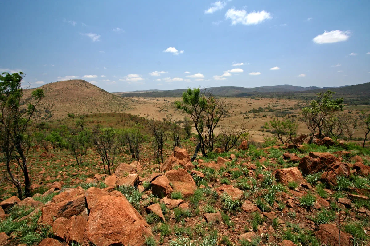 Felsige Landschaft im Pilanesberg Nationalpark.