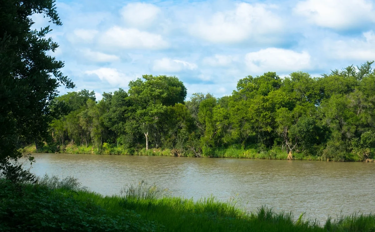 Sabi Fluss im Sabi Sand Game Reserve.