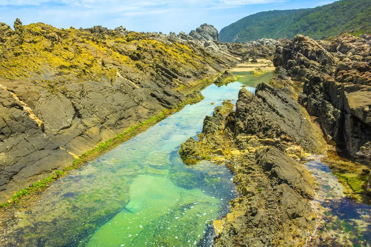 Natürliche Pools im Tsitsikamma Nationalpark.