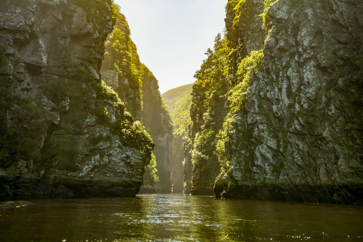 Canyon im Tsitsikamma Nationalpark.