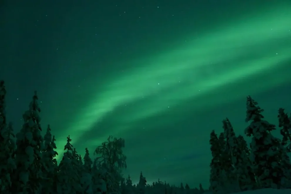 Schweden Nordlichter mit Wald