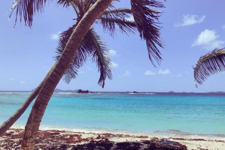 paradiesischer Strand in der Karibik