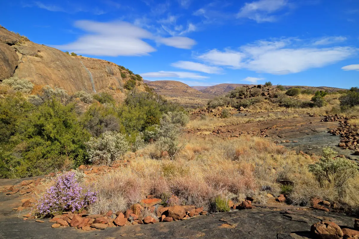 Wüstenlandschaft mit Felsen, spärlicher Vegetation und blauem Himmel im Hintergrund, ideal für Naturerlebnisse.