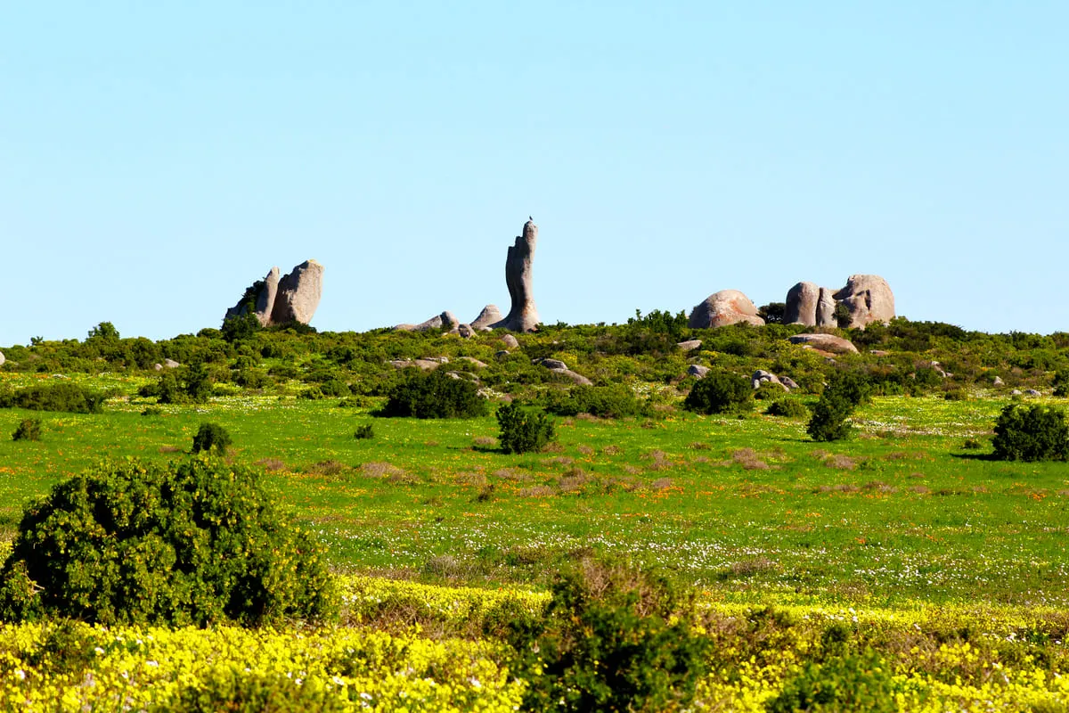Grüne Landschaft mit einzigartigen Felsformationen und blühenden Wiesen unter klarem Himmel.