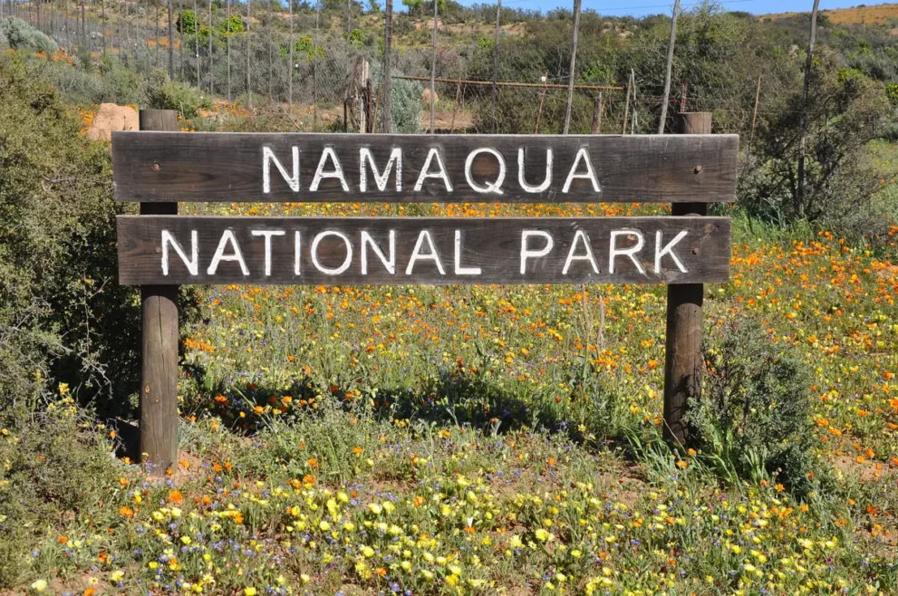 Holzschild Namaqua National Park umgeben von blühenden Wildblumen und Natur in sonniger Landschaft.